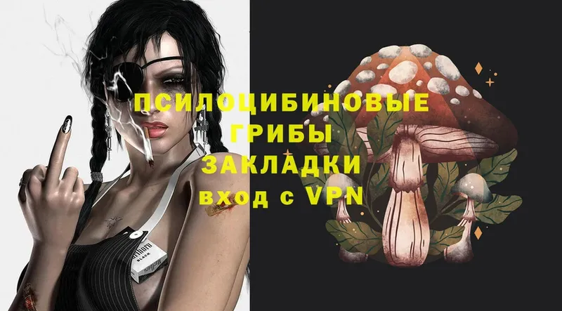 где можно купить   Саки  Галлюциногенные грибы Magic Shrooms 